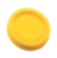 Rupee Coin